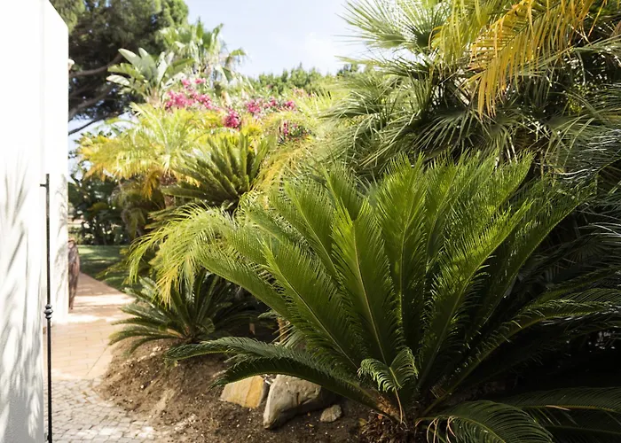 Caraibas - - By Hdproperties Villa